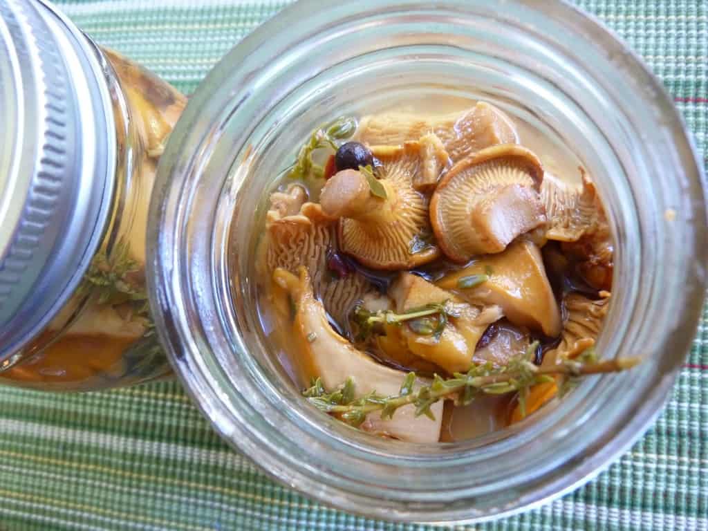 Pickled Chanterelles1