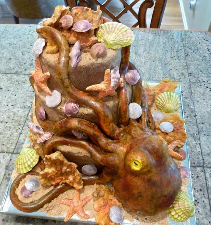 Octopus cake!...... | more_sugar | Flickr