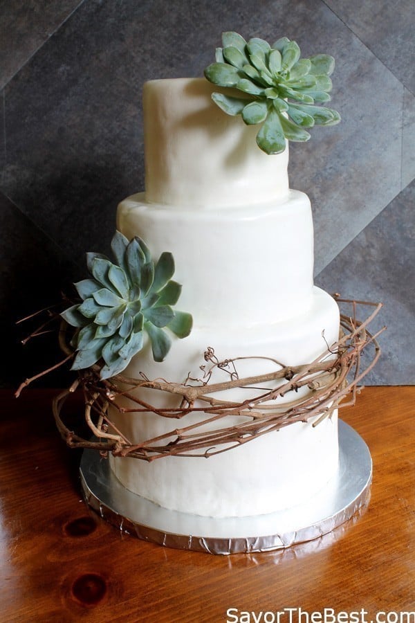 Vine and Succulent Cake Design