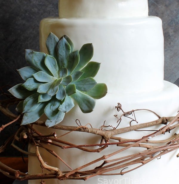 Vine and Succulent Cake Design