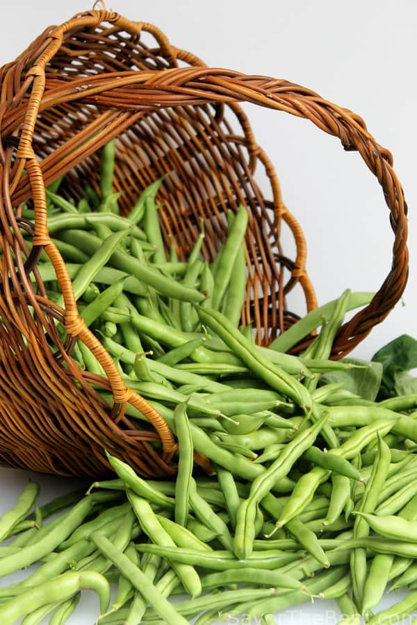 Fresh picked green beans 