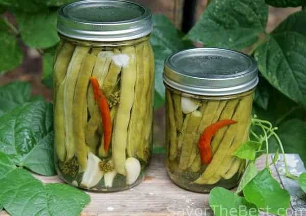 Hot Dilly Green Bean Pickles