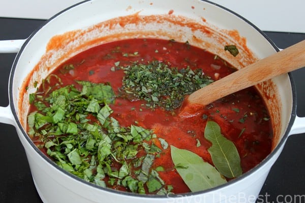 Tomato-Basil-and-Garlic-Sauce-2