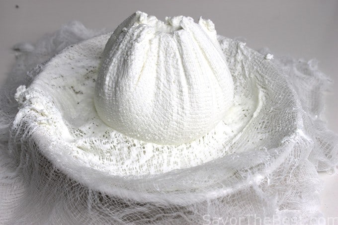 Labneh-Middle East Fresh Yogurt Cheese