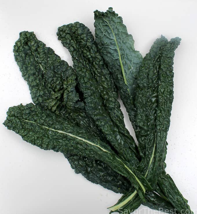 Tuscan kale (Lacinato kale)