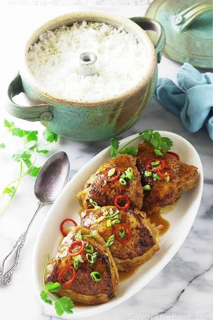 Rice Cooker Ginger Chicken and Rice - Mochi Mommy