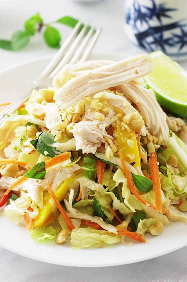 Saigon Chicken Salad - Savor the Best