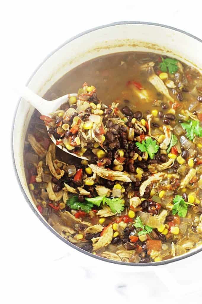 Southwest Black Bean-Chicken Soup