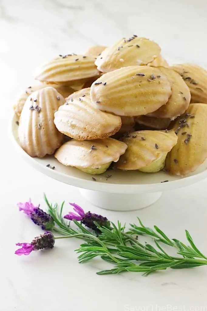 Lavender Madeleine Tea Cakes