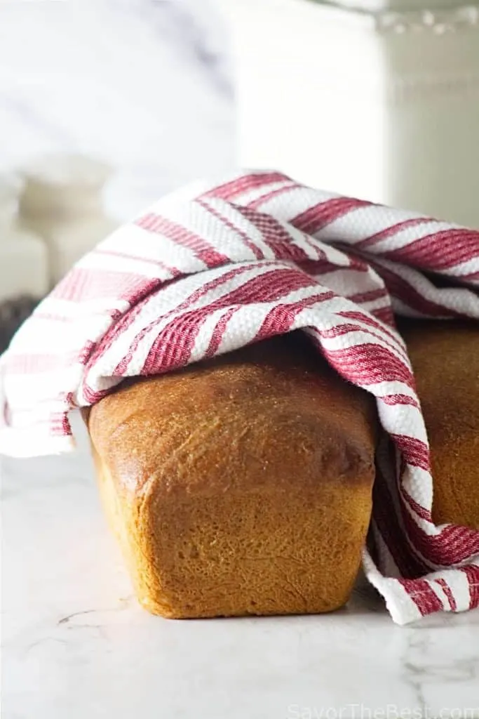 Sprouted wheat buttermilk sandwich bread