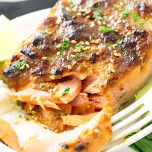 Miso-Hoisin Salmon Fillets