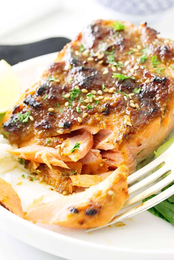 Miso-Hoisin Salmon Fillets