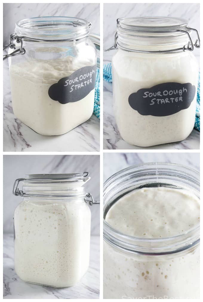 Wild Yeast Sourdough Starter - Savor the Best