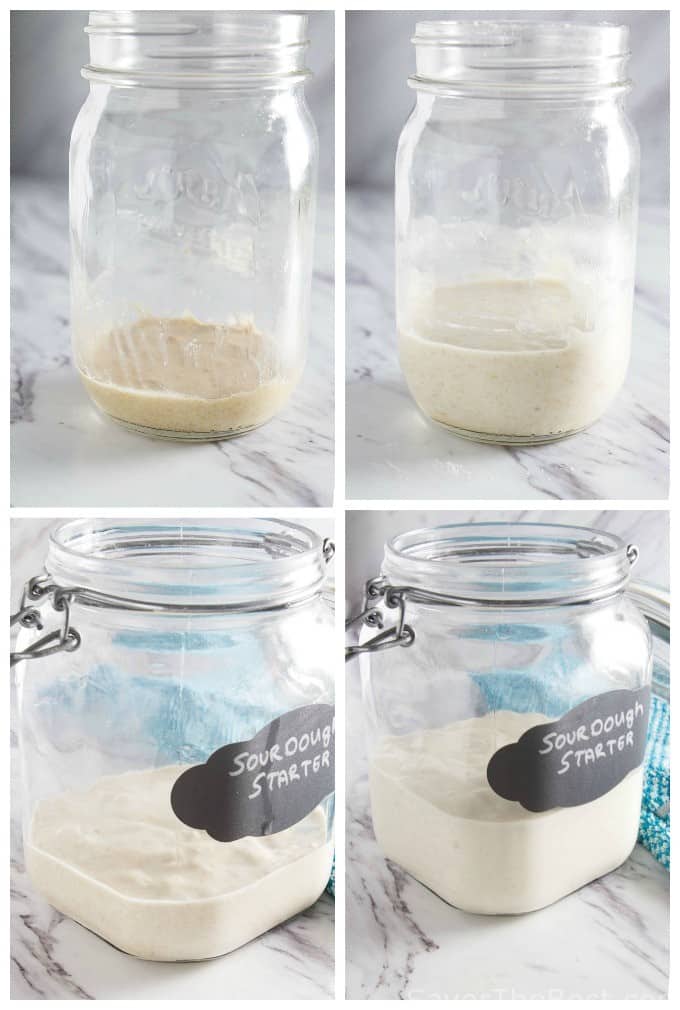 Wild Yeast Sourdough Starter Savor The Best