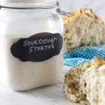 Wild yeast sourdough starter