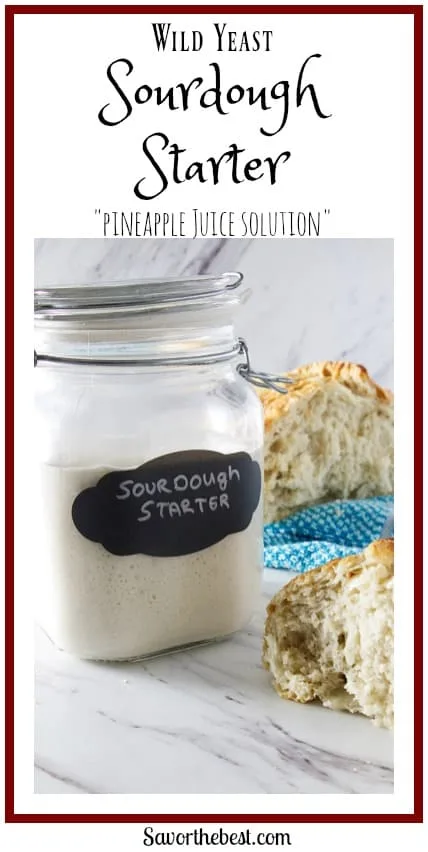 wild yeast sourdough starter with the pineapple juice solution