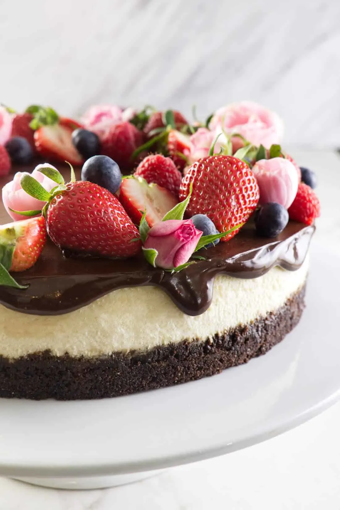 Bourbon vanilla cheesecake with chocolate ganache