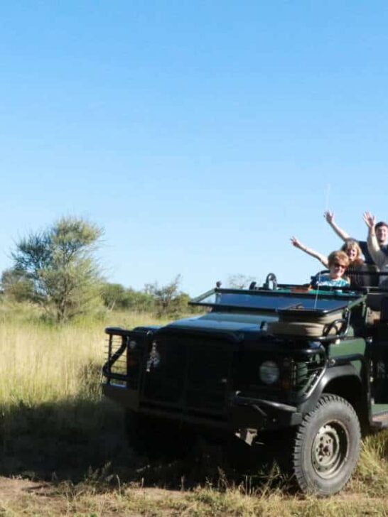 Our South African Safari Vacation