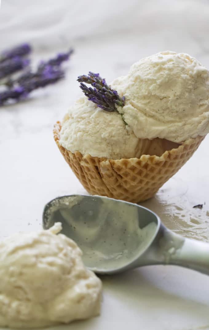 No Churn Vanilla Lavender Ice Cream