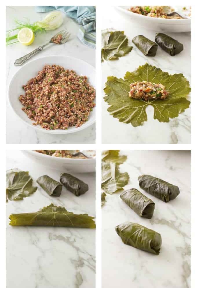 Greek Dolmades with Cannelloni Beans