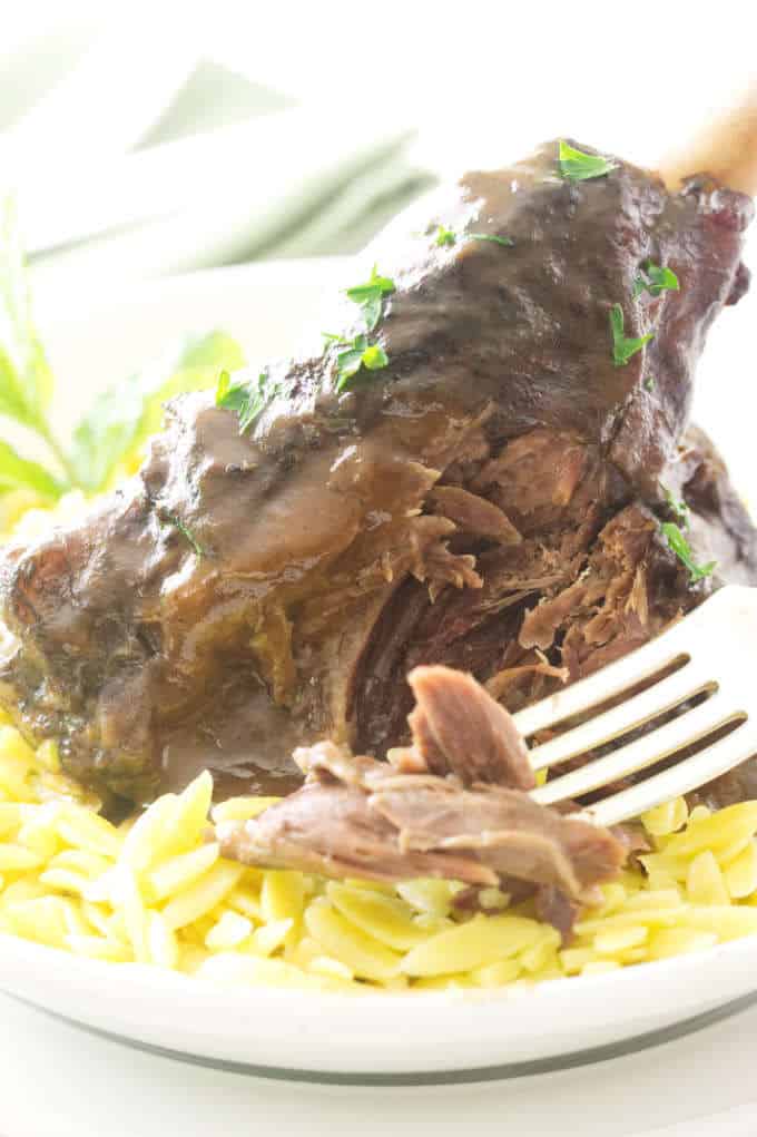 Slow Cooked Moroccan Lamb Shanks with Lemon-Garlic Orzo