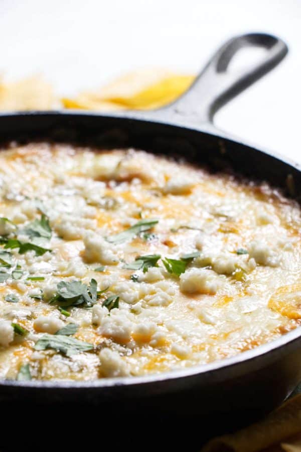 Chili Relleno Dip Savor the Best