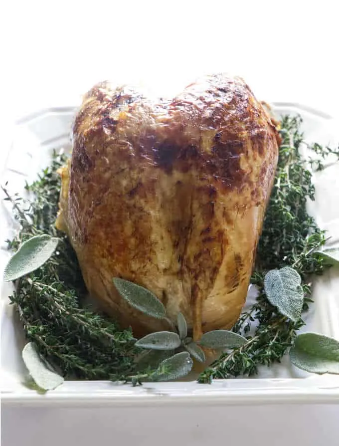 Instant pot frozen turkey breast