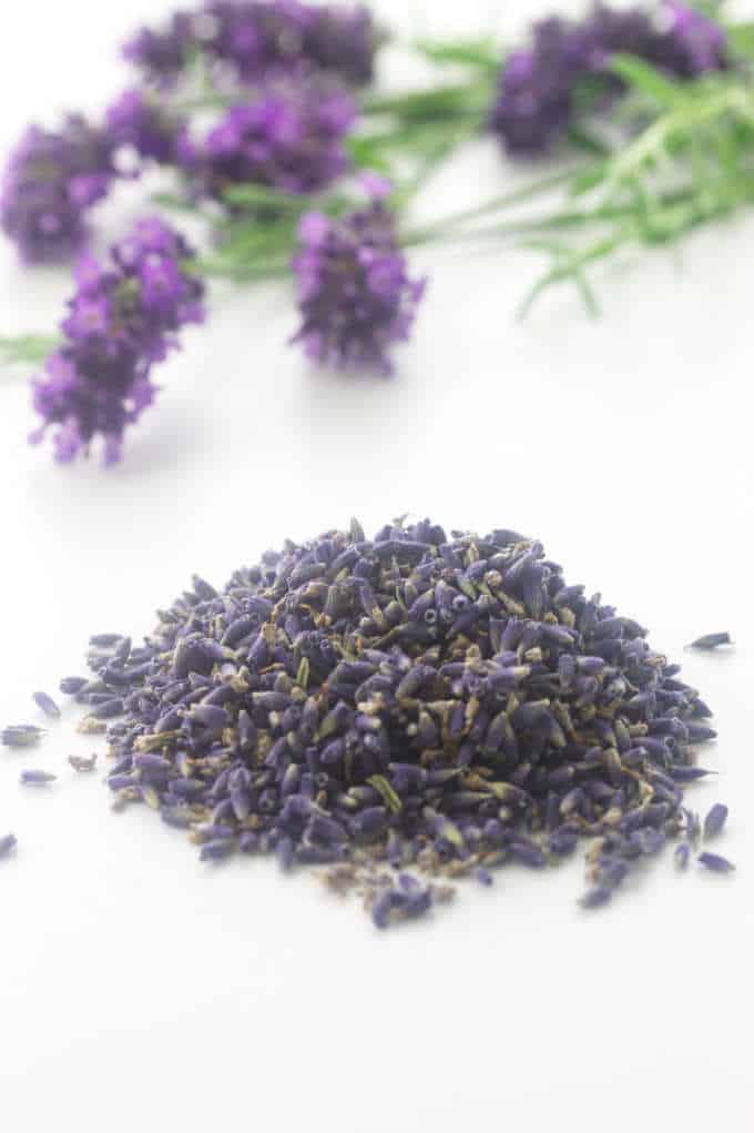 dried lavender buds with fresh lavender in the background
