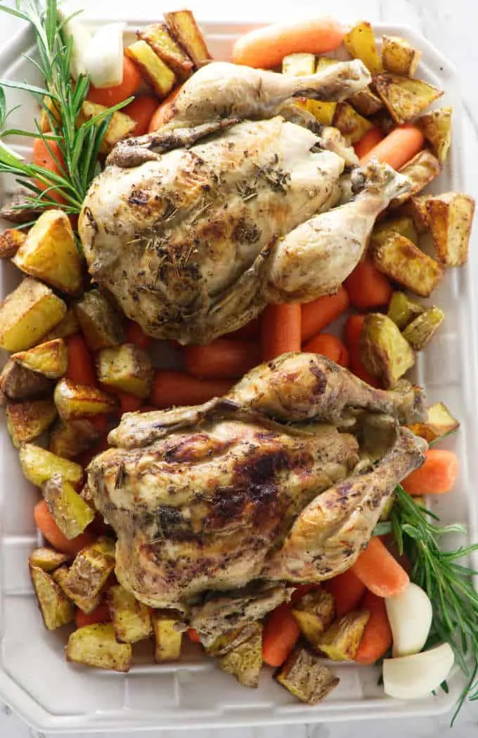 Two Cornish game hens plated with roasted carrots and potatoes