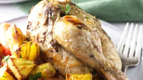 Cornish game hens online instant pot