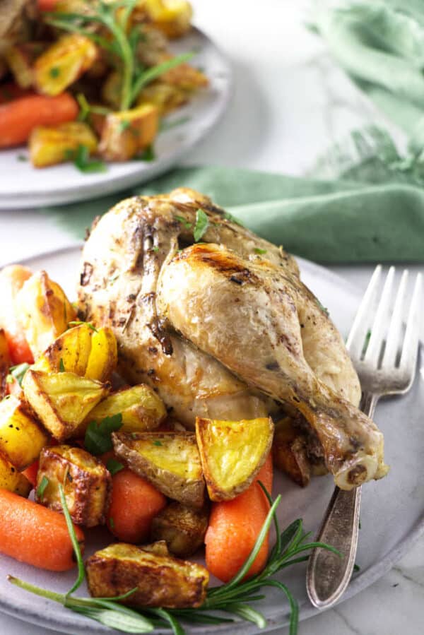 Frozen Cornish Game Hens in the Pressure Cooker Savor the Best