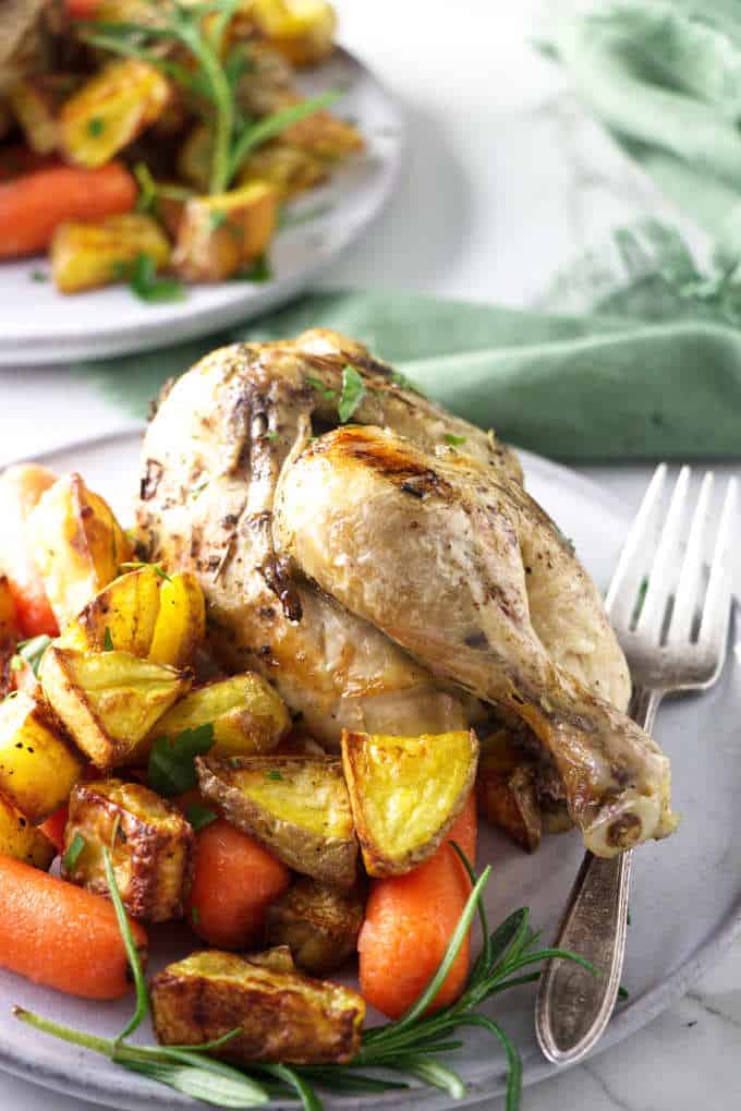 Instant Pot Frozen Cornish Game Hens