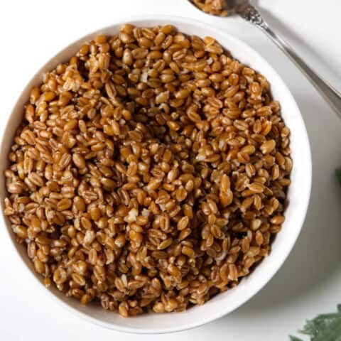 Instant Pot Farro