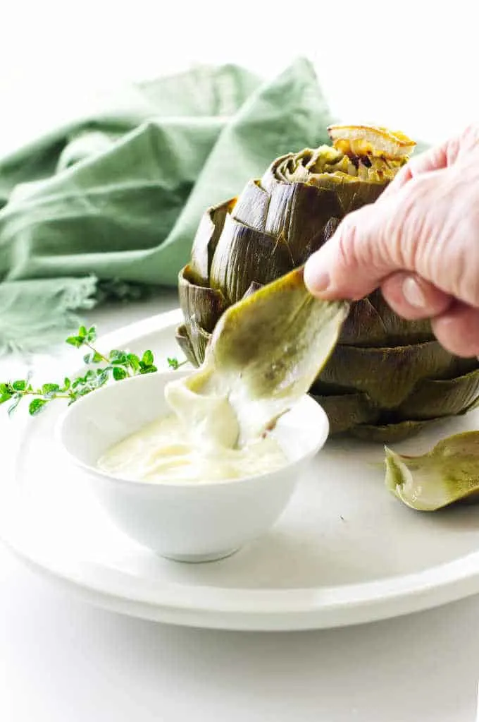 Artichoke leaf being dipped into garlic-lemon aioli sauce