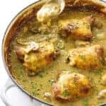 Chicken thighs in creamy mushroom sauce