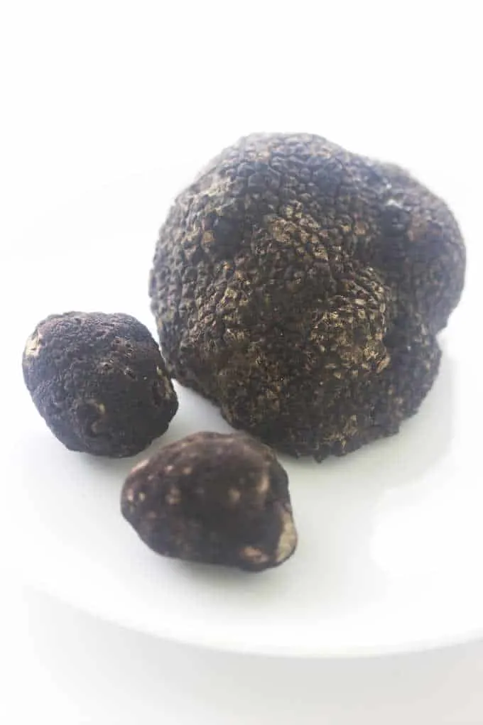 One large Oregon Black Truffle, 2 smaller ones