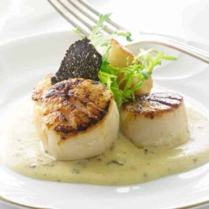 A plate of seared scallops with a black truffle slice and black truffle sauce.