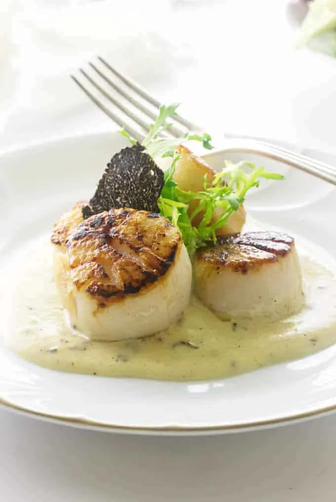 A plate of seared scallops with a black truffle slice and black truffle sauce.