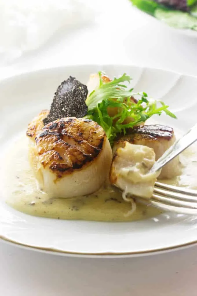 A serving of seared scallops in some black truffle beurre blanc sauce, garnished with frisée greens and a slice of truffle