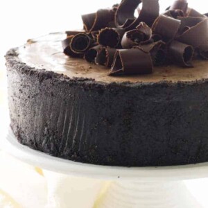 Chocolate cheesecake with chocolate curls