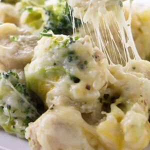 Cheese stretching from a spoon of chicken broccoli and rice casserole.