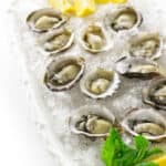 Plate of of oysters on the half shell in a bed of crushed ice, mint and lemon wedges