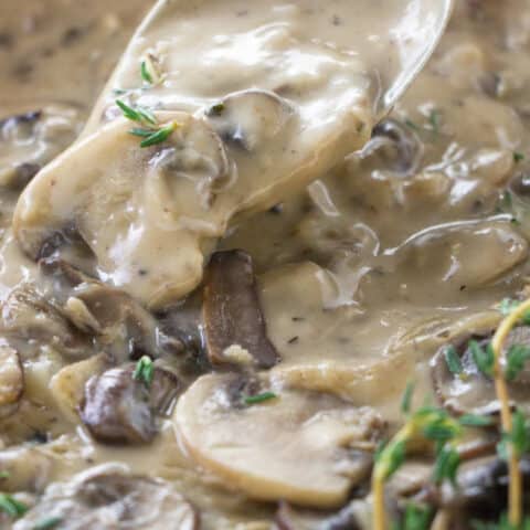 A spoon scooping up some mushroom marsala sauce.