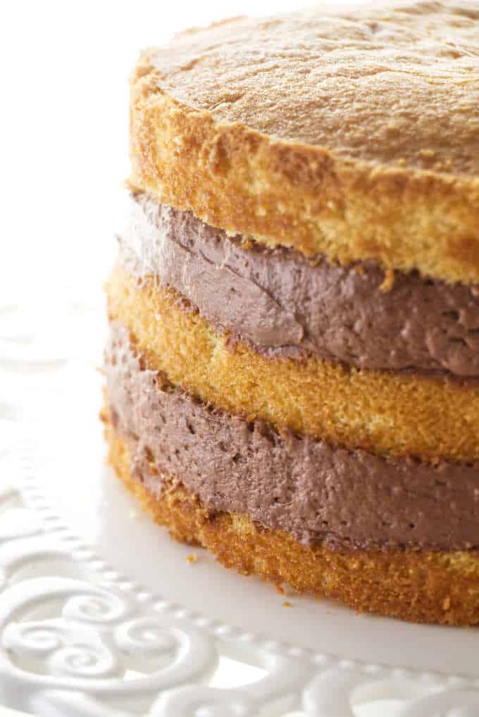 50 Layer Cake Filling Ideas: How to Make Layer Cake (Recipes)