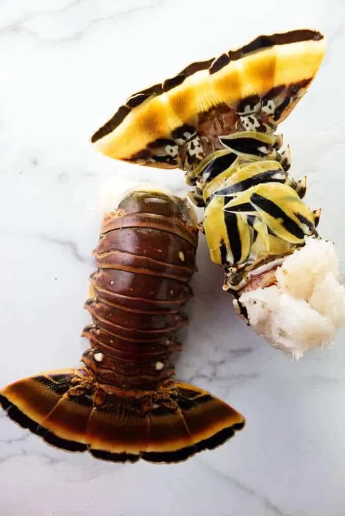 Two raw lobster tails still in their shells.