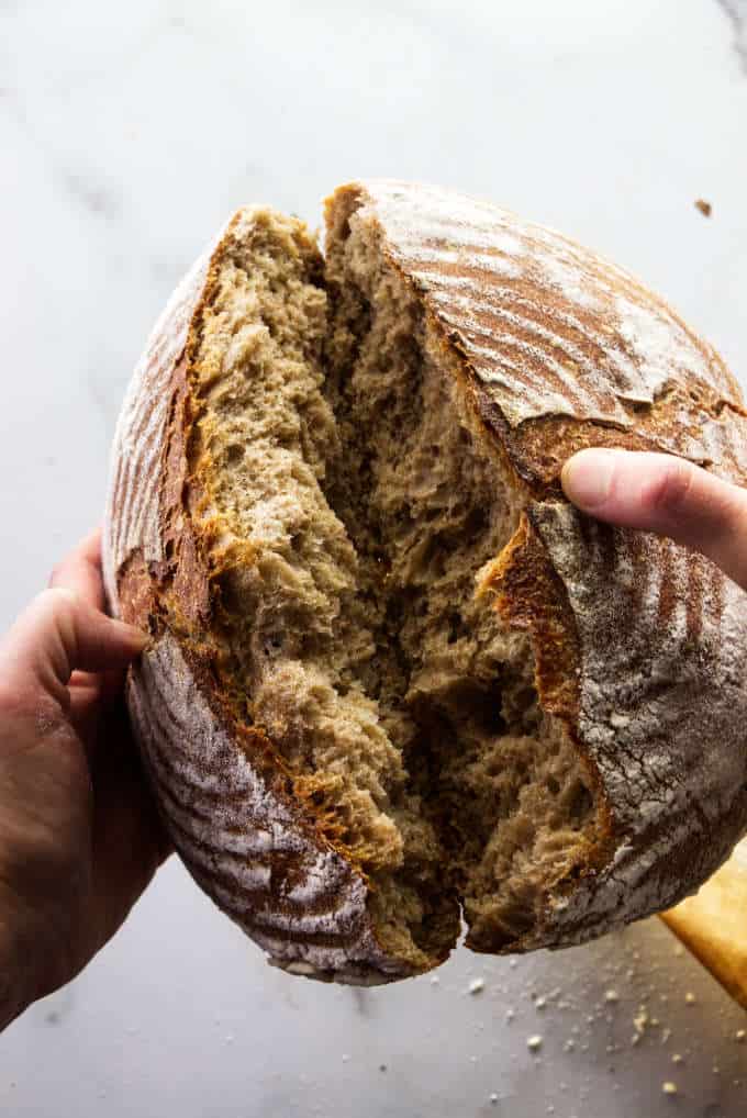 A loaf of spelt sourdough bread being broken in half.