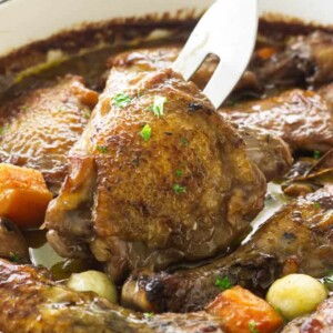 Close up view of baked coq au vin with a fork lifting a serving of chicken