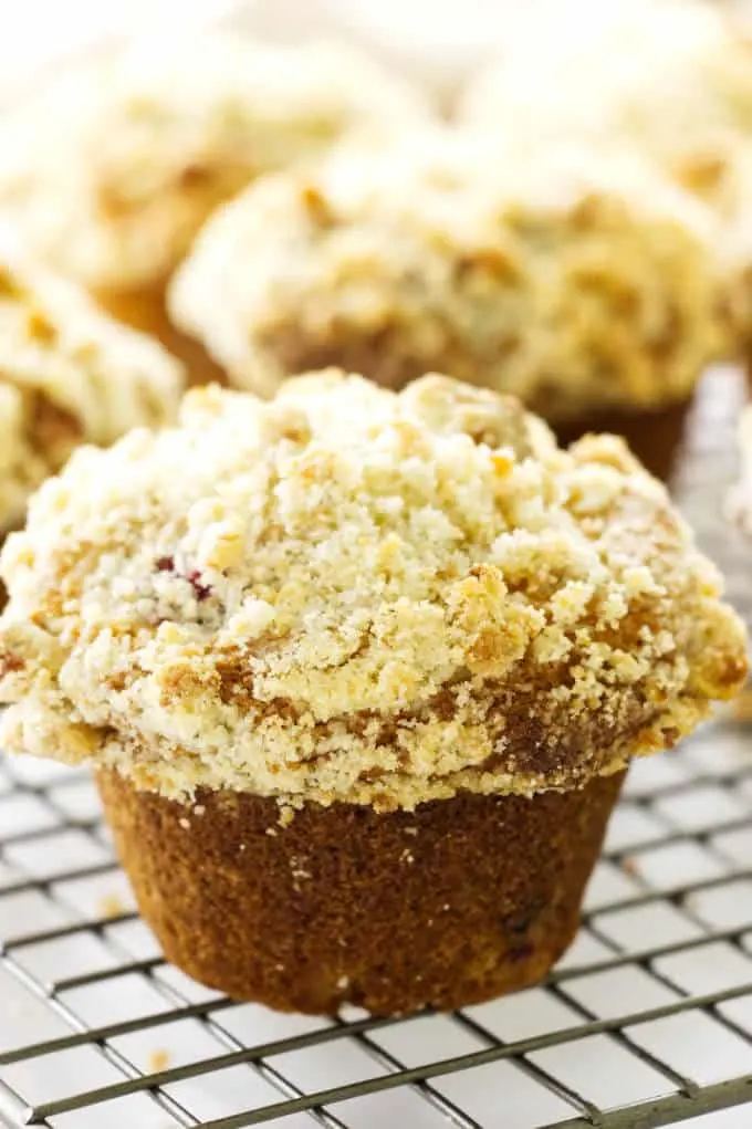 Close up view of a cranberry muffin with walnut streusel
