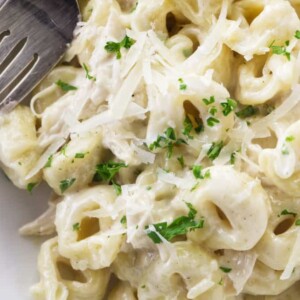 A bowl filled with Chicken Tortellini Alfredo pasta.