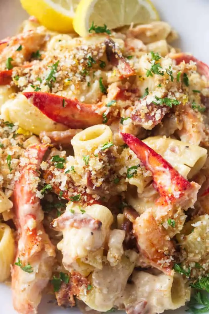 Closeup of lobster pasta with creamy garlic sauce.